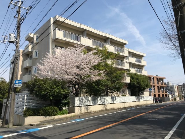 5/15 周辺