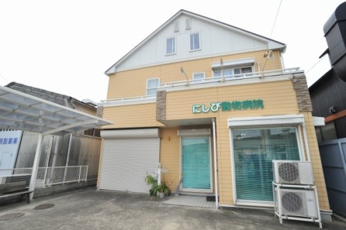 7/7 周辺