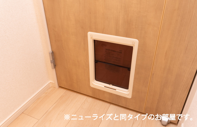 12/20 その他画像