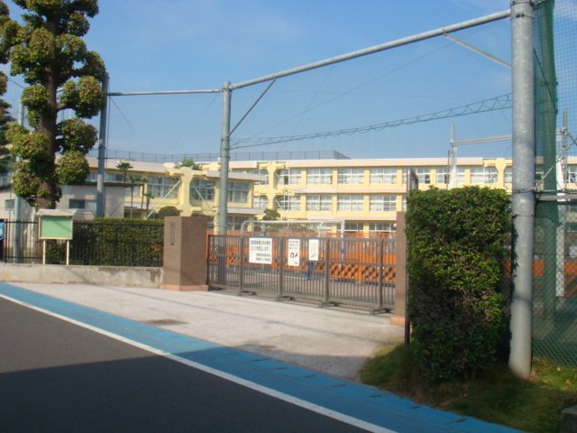 2/7 周辺