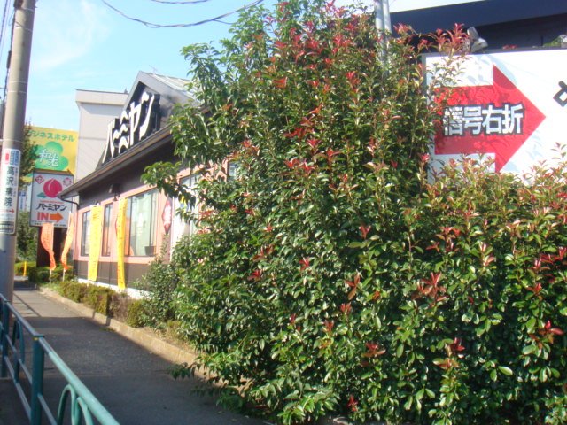27/30 周辺