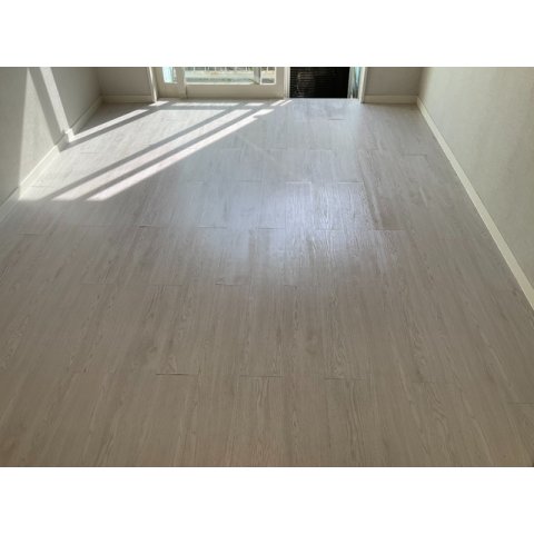 5/22 室内
