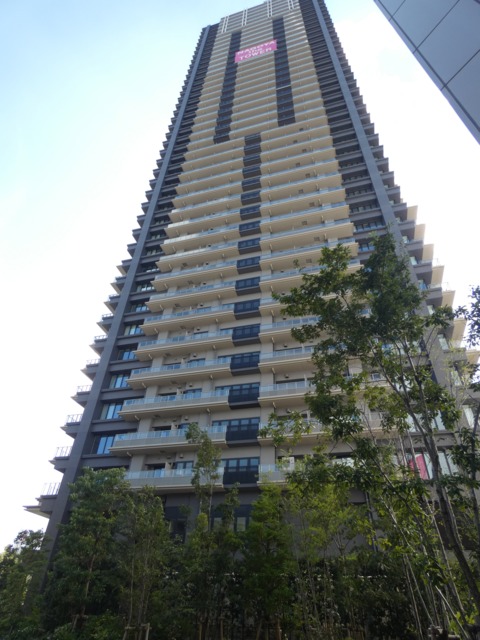 1/19 外観