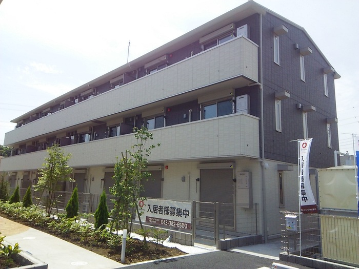 1/20 外観