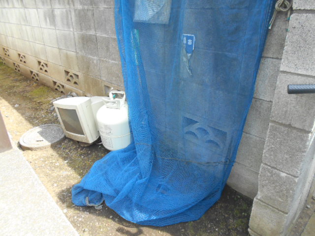 7/17 その他画像