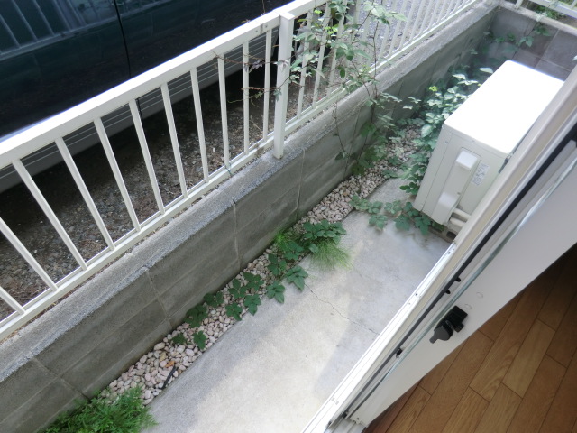 13/24 バルコニー