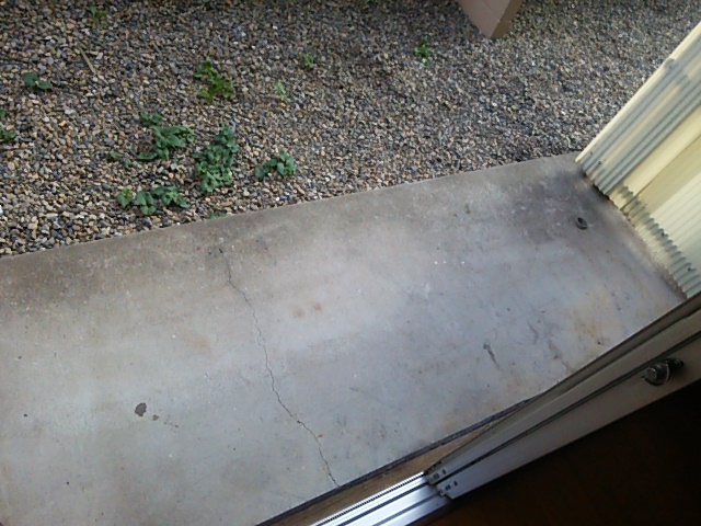 17/28 その他画像