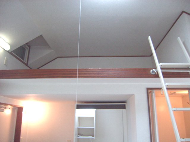 11/21 その他画像