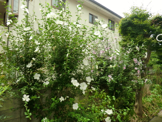 16/30 その他画像