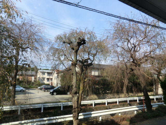 10/30 その他画像