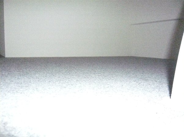 11/26 バルコニー