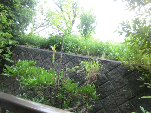 15/27 その他画像