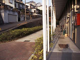 12/17 その他画像