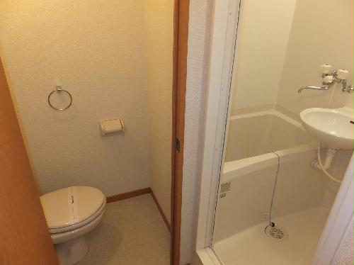 15/17 その他画像