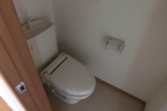 11/29 トイレ
