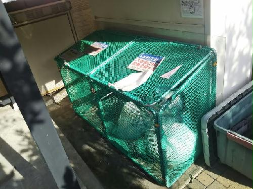 11/14 その他画像