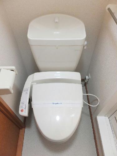 14/14 その他画像