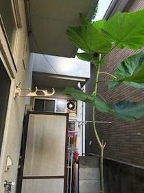 13/15 その他画像