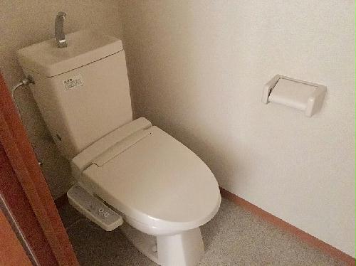 11/20 その他画像