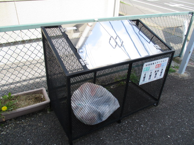 20/30 その他画像