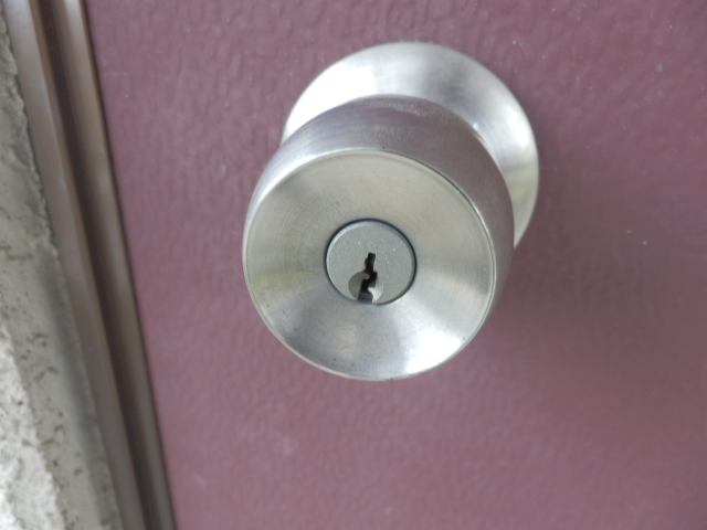 17/29 その他画像