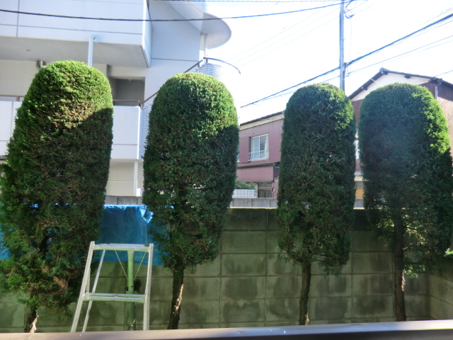 21/28 その他画像