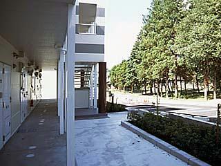 10/20 その他画像