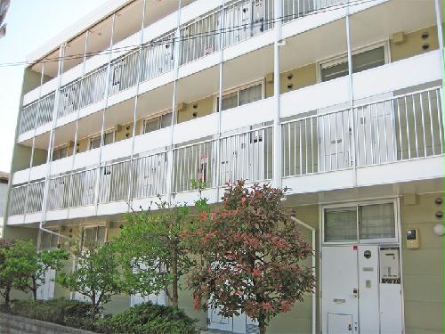 11/20 その他画像