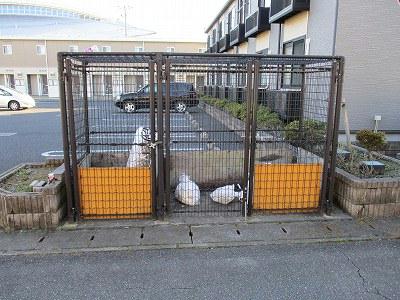 11/20 その他画像