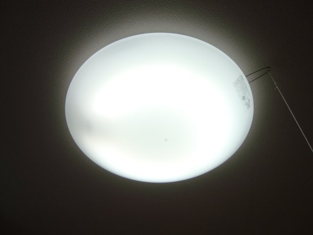 16/21 その他画像