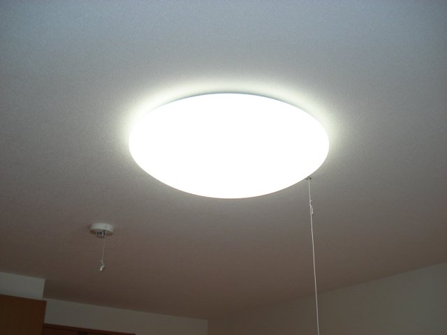 21/26 その他画像