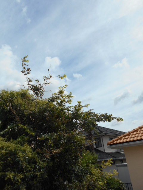 13/30 その他画像