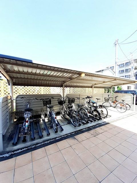 20/30 その他画像