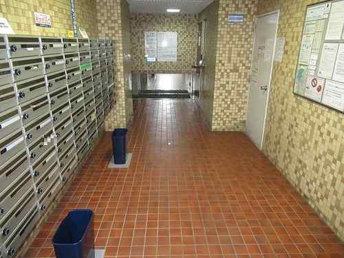 4/11 その他画像