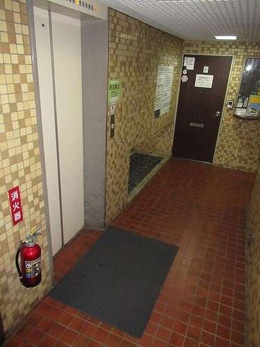 5/11 その他画像