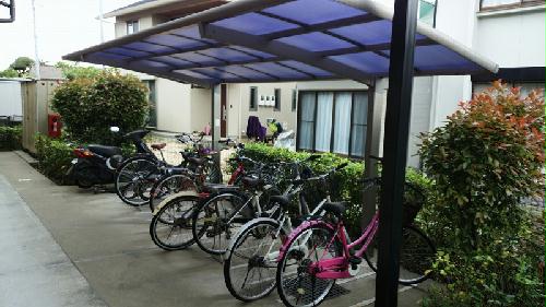 11/19 その他画像