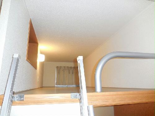 15/25 その他画像