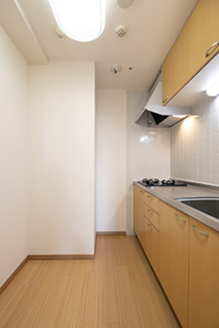 27/29 その他画像