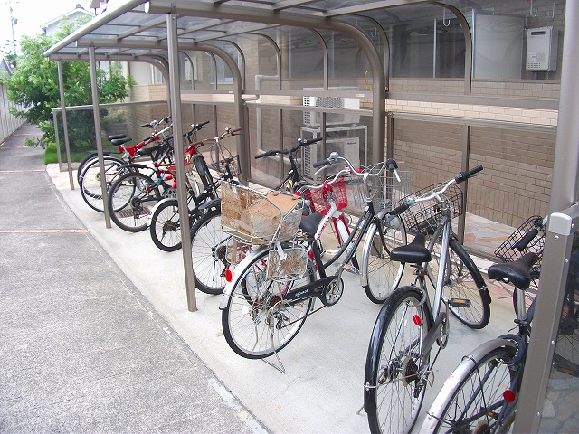 5/17 その他画像