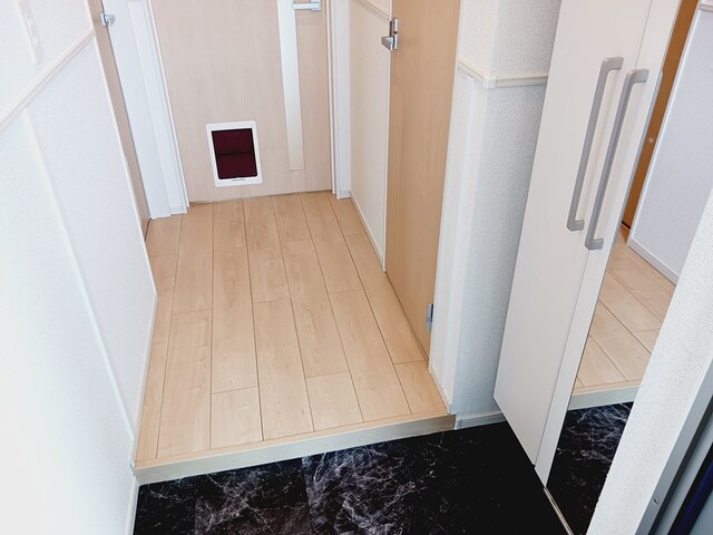 6/21 玄関