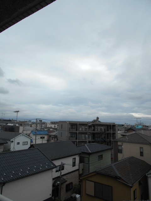 20/30 その他画像