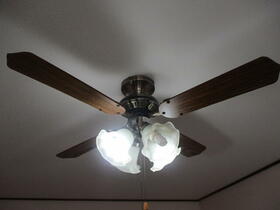 14/19 その他画像