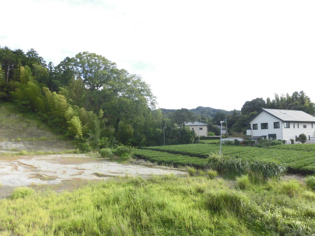 20/28 その他画像