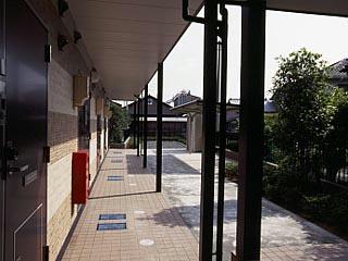 13/13 その他画像