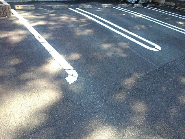 11/20 その他画像