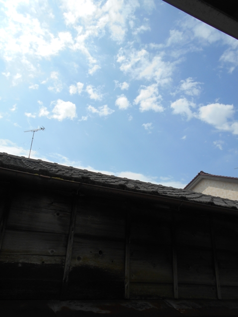 12/30 その他画像