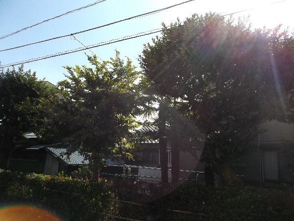 19/29 その他画像