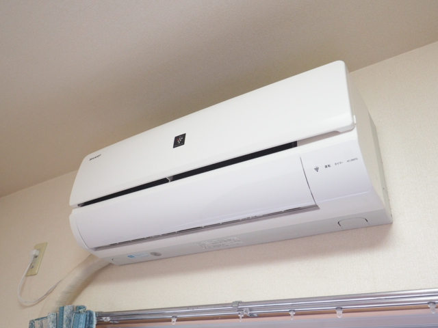 20/29 その他画像