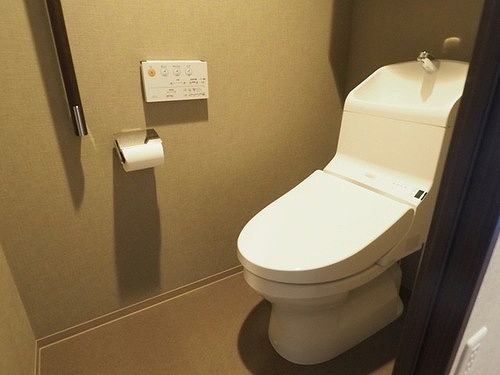 8/11 その他画像