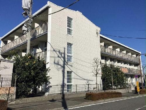 5/13 その他画像